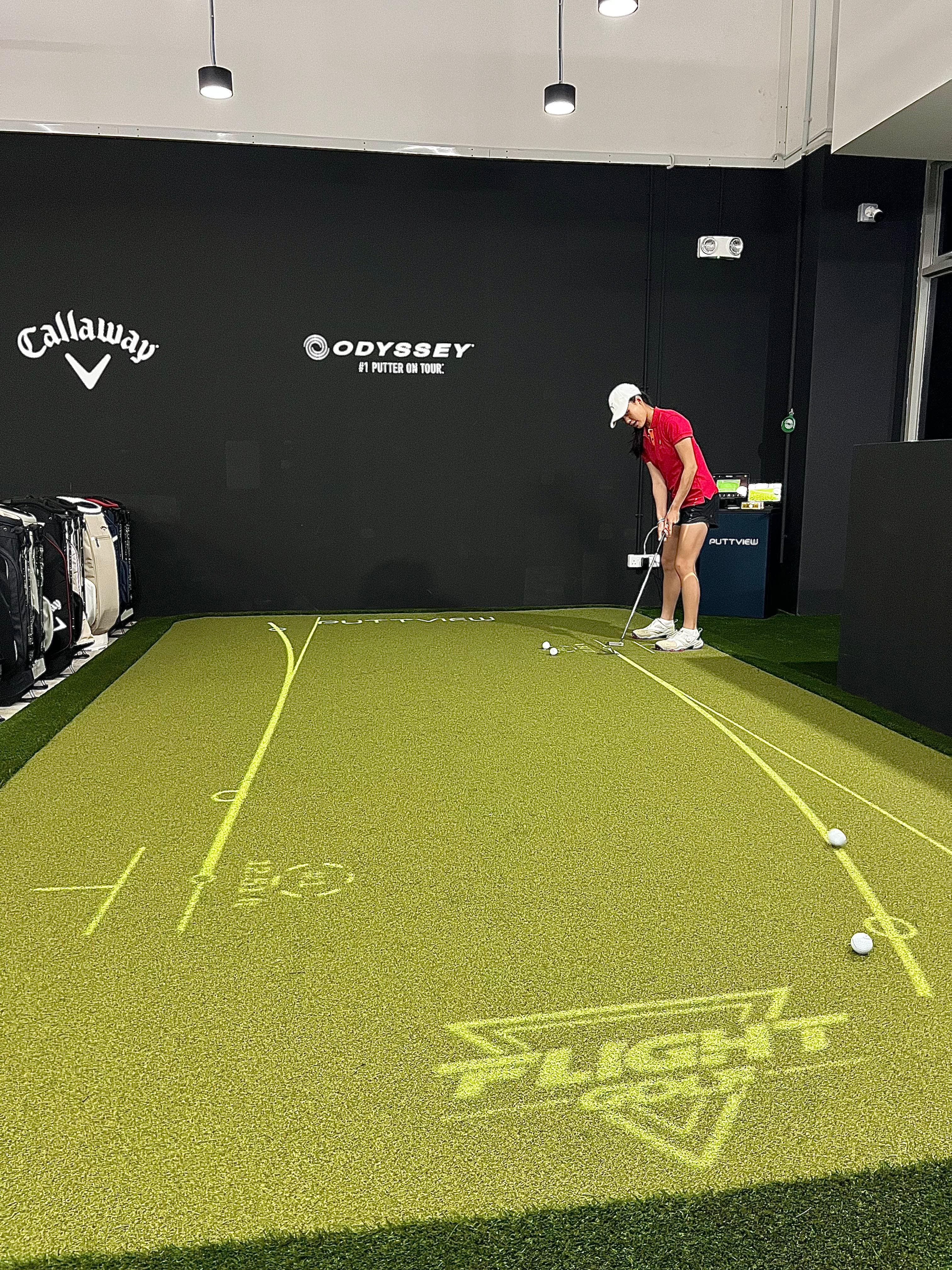 PuttView Putting Green